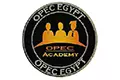 Egypt Educational consultant (OPEC)