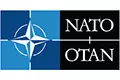 North Atlantic Treaty Organization (NATO)